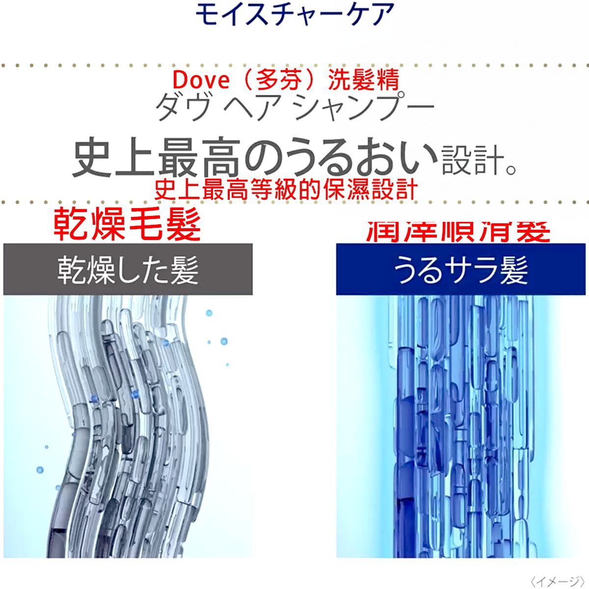 Dove 日本製 保濕洗髮乳 補充裝 2.2 kg(超值裝) Shampoo Shampoo 圖1