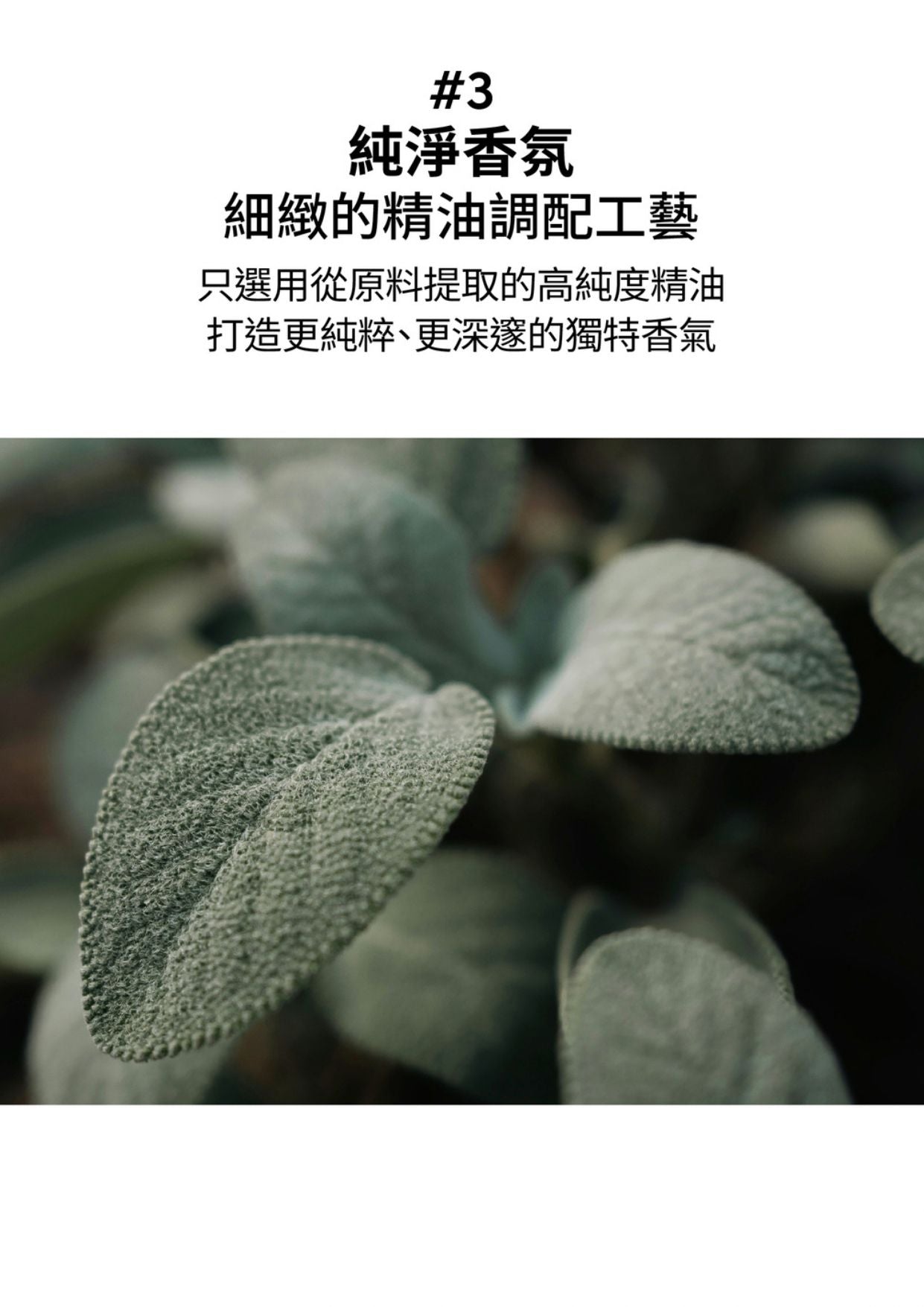 monclos - [我們的柑橘]-擴香組 150m (香港行貨) (40305)